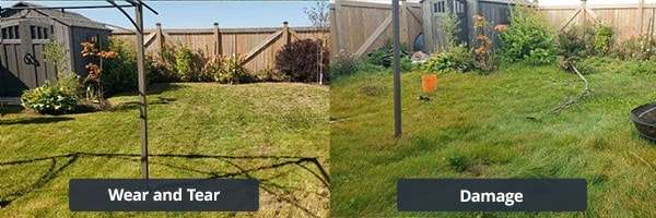 Yard comparison